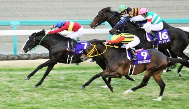 go-rudoakuta-.jpg