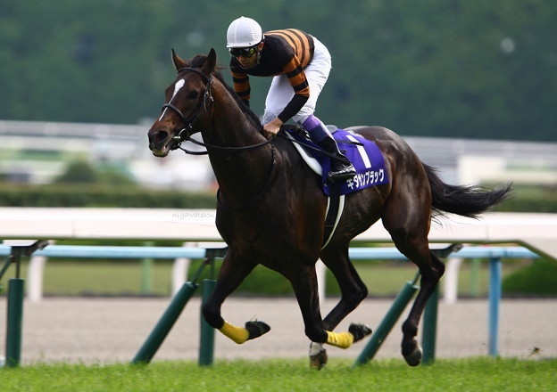 kitasan236080610_624.jpg